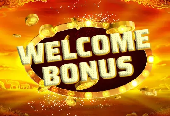 Dux Neukundenbonus